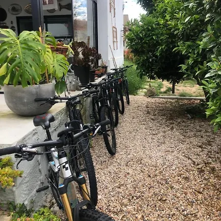Bedebike 3*