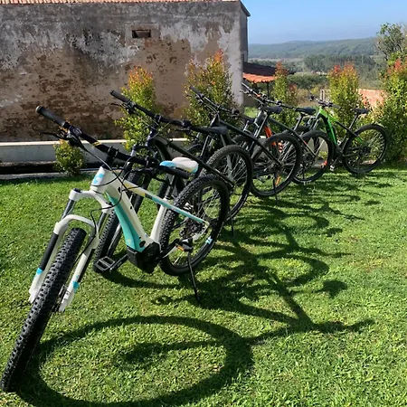 Bed & Breakfast Bedebike *