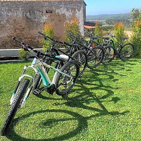 Bedebike Nocleg ze śniadaniem