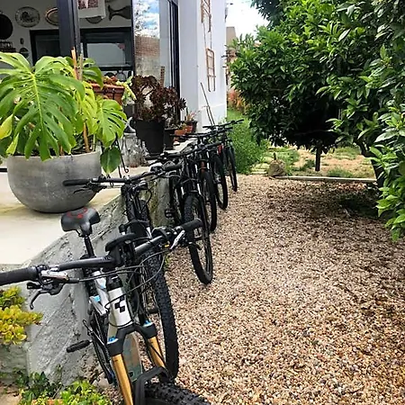 Bedebike Óbidos
