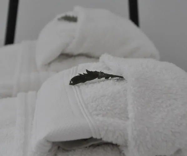 Bedebike Bed & Breakfast